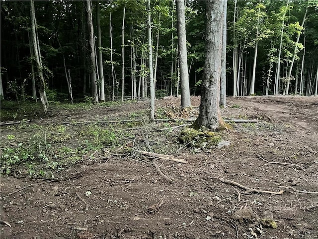 000 Mcnamar Rd, Barre, NY 14411