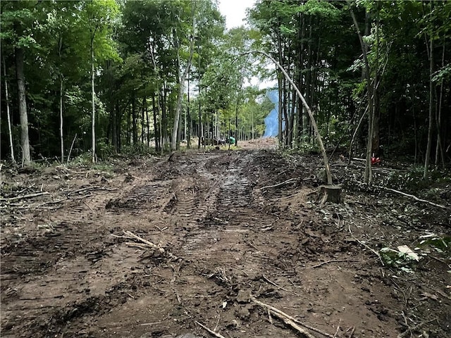 000 Mcnamar Rd, Barre, NY 14411