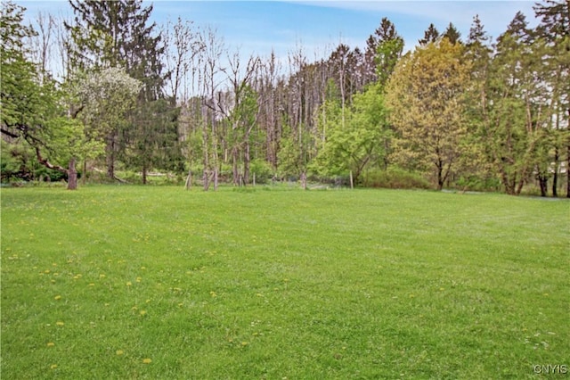 2875 W Lake Rd, Cazenovia, NY 13035 - view of grassy yard