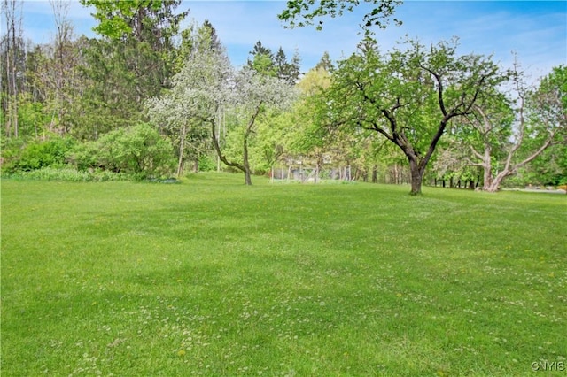 2875 W Lake Rd, Cazenovia, NY 13035 - view of green lawn