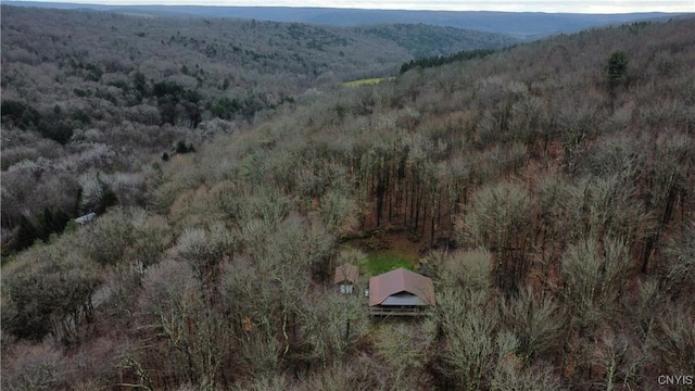 521 Hyer Rd, Lincklaen, NY 13052 - photo 8