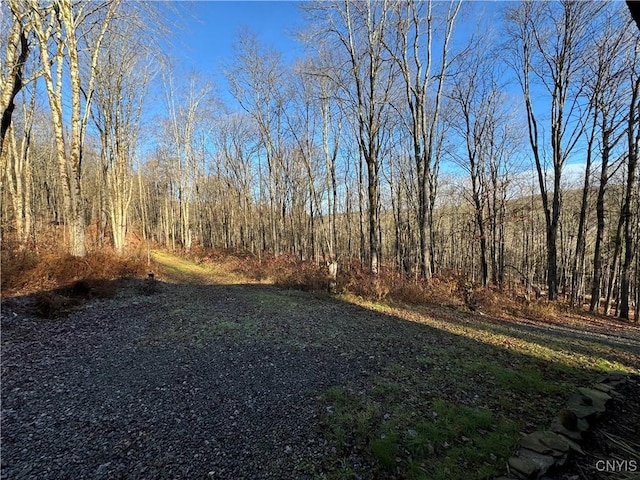 521 Hyer Rd, Lincklaen, NY 13052 - photo 36