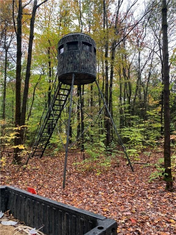 521 Hyer Rd, Lincklaen, NY 13052 - photo 41
