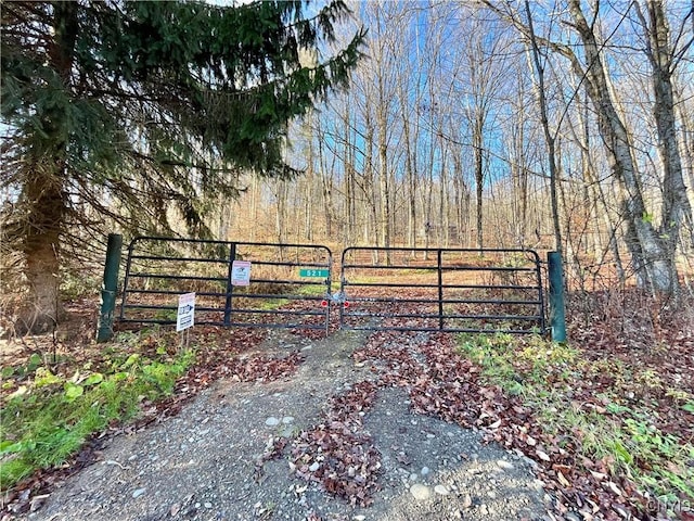 521 Hyer Rd, Lincklaen, NY 13052 - photo 42