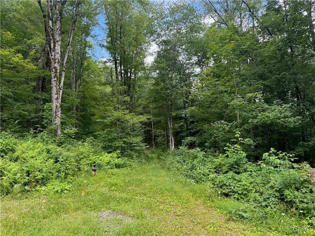 521 Hyer Rd, Lincklaen, NY 13052 - photo 35