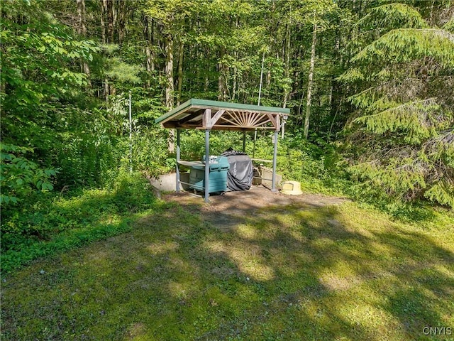 521 Hyer Rd, Lincklaen, NY 13052 - photo 39
