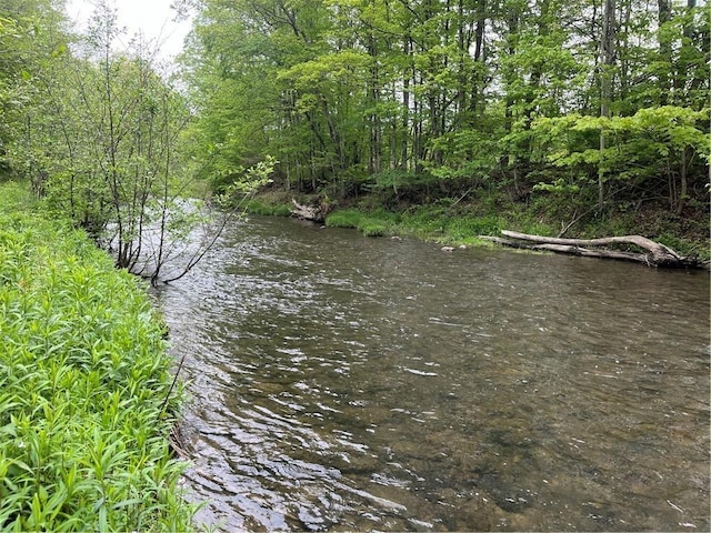 1217 County Highway 34, Westford, NY 12155 - water view