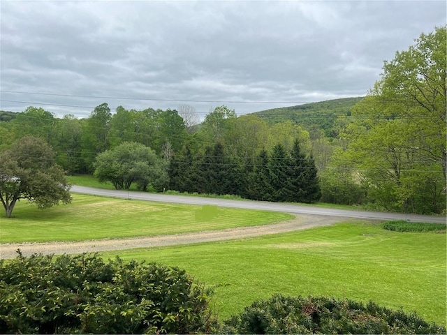 1217 County Highway 34, Westford, NY 12155 - surrounding community featuring a yard and a forest view