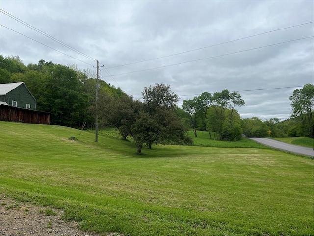 1217 County Highway 34, Westford, NY 12155 - view of green lawn