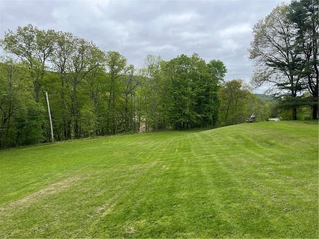 1217 County Highway 34, Westford, NY 12155 - view of green lawn featuring a view of trees