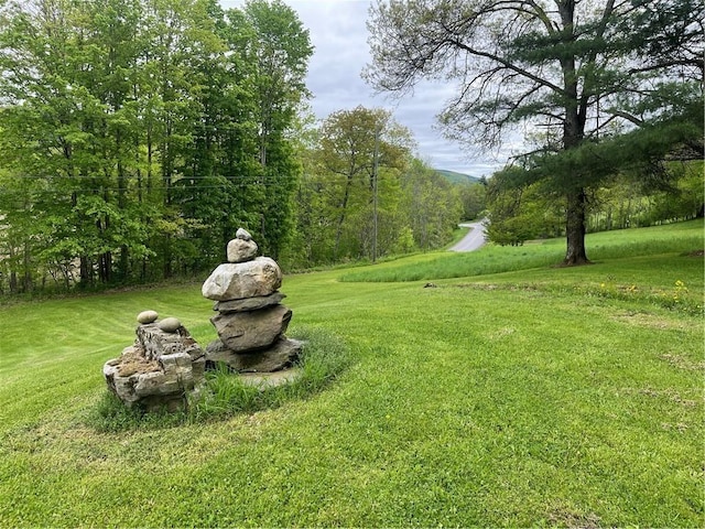 1217 County Highway 34, Westford, NY 12155 - view of grassy yard