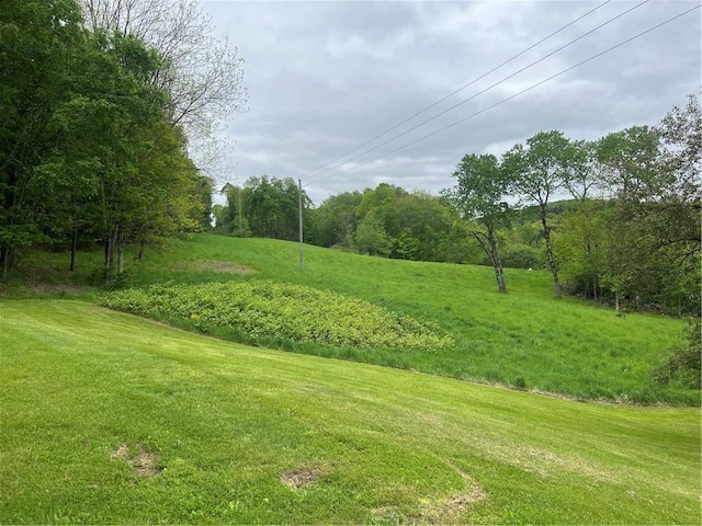 1217 County Highway 34, Westford, NY 12155 - view of green lawn