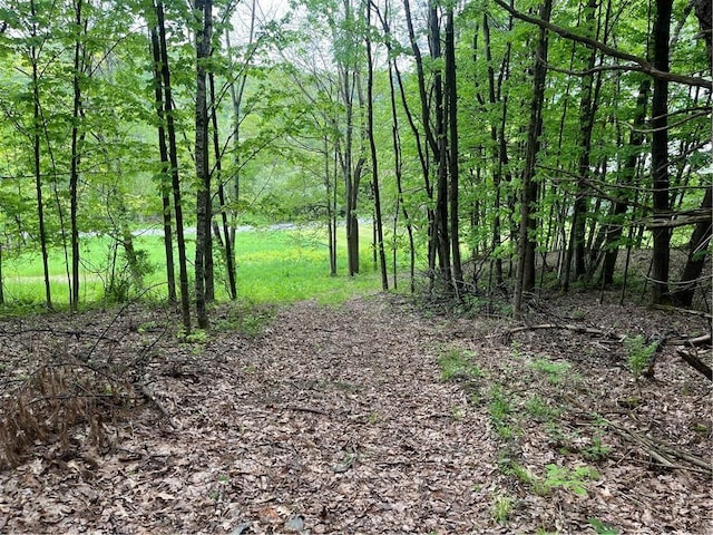 1217 County Highway 34, Westford, NY 12155 - view of tree filled area