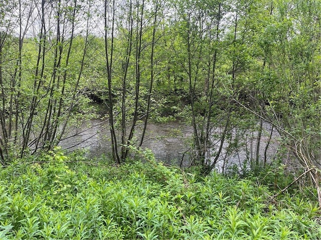 1217 County Highway 34, Westford, NY 12155 - water view featuring a forest