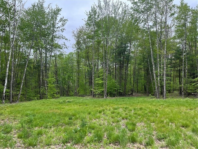 1217 County Highway 34, Westford, NY 12155 - view of yard featuring a forest view