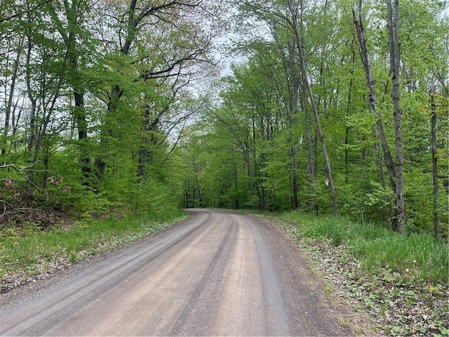 1217 County Highway 34, Westford, NY 12155 - view of dirt / gravel road featuring a forest view