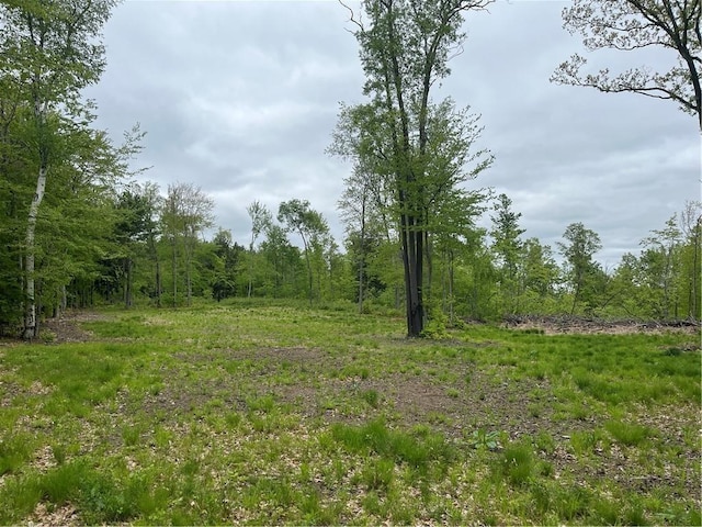1217 County Highway 34, Westford, NY 12155 - view of tree filled area