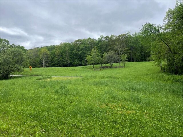 1217 County Highway 34, Westford, NY 12155 - view of yard with a wooded view and a view of rural / pastoral area