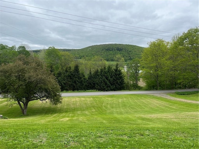 1217 County Highway 34, Westford, NY 12155 - mountain view