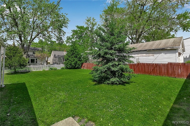 438 Zimmerman Blvd, Tonawanda-Town, NY 14223 - view of yard