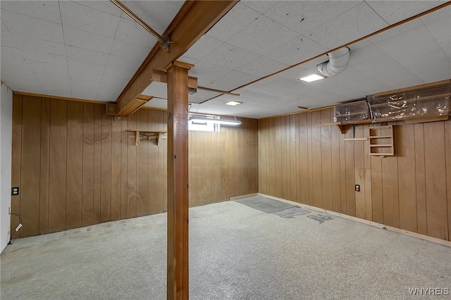 438 Zimmerman Blvd, Tonawanda-Town, NY 14223 - below grade area featuring carpet and wooden walls