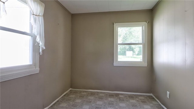 15 Wycliffe Rd, Waterloo, NY 13165 - carpeted empty room featuring ornamental molding and baseboards