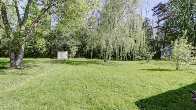 15 Wycliffe Rd, Waterloo, NY 13165 - view of green lawn