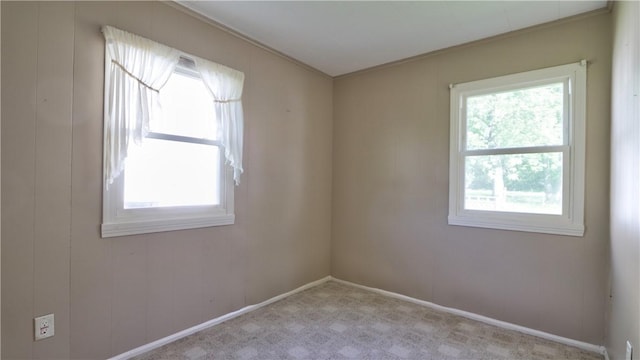 15 Wycliffe Rd, Waterloo, NY 13165 - carpeted spare room with healthy amount of natural light, ornamental molding, and baseboards