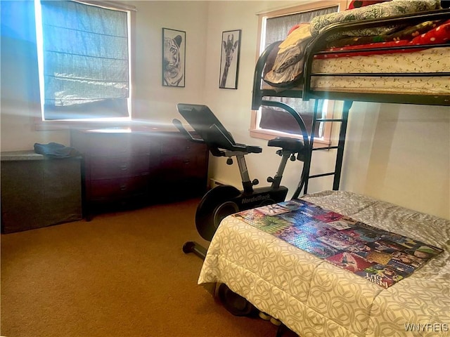 80 Sunnydale Ave, Wellsville, NY 14895 - bedroom featuring carpet