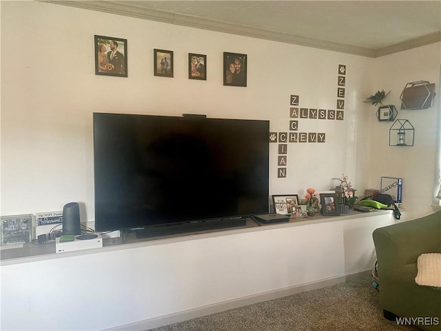 80 Sunnydale Ave, Wellsville, NY 14895 - detailed view of ornamental molding and carpet flooring