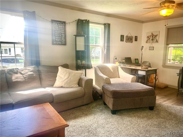 80 Sunnydale Ave, Wellsville, NY 14895 - living room with crown molding, ceiling fan, plenty of natural light, an office area, and wood finished floors
