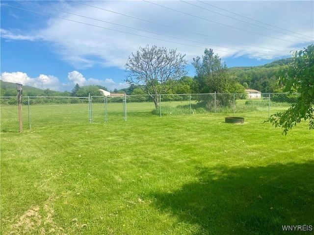 80 Sunnydale Ave, Wellsville, NY 14895 - view of yard