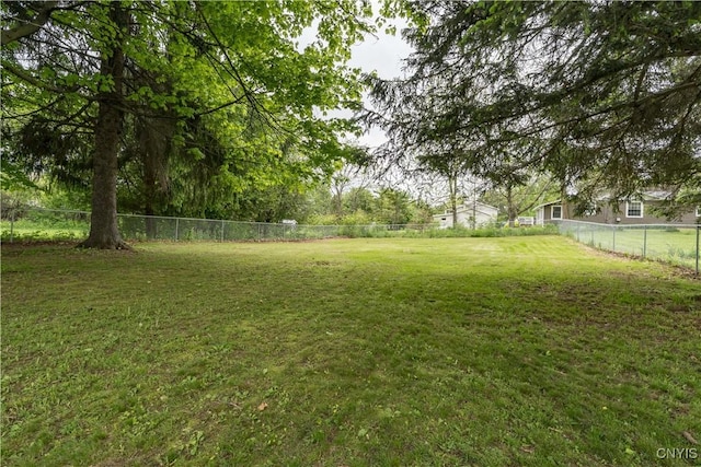 152 Leray St, Le Ray, NY 13612 - view of yard