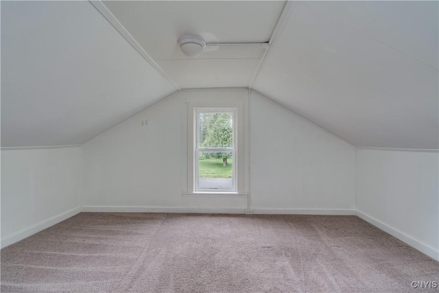 152 Leray St, Le Ray, NY 13612 - additional living space with carpet floors, lofted ceiling, and baseboards