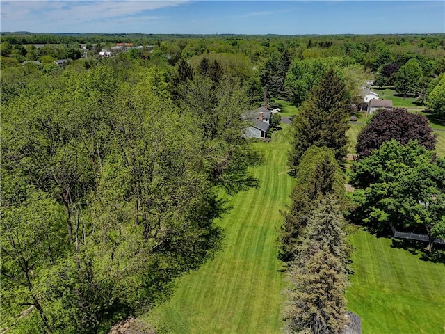 37 York St, Mendon, NY 14472 - drone / aerial view of a heavily wooded area