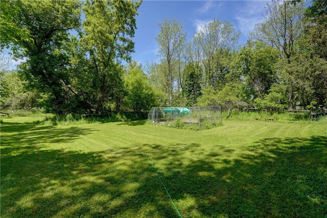 37 York St, Mendon, NY 14472 - view of grassy yard