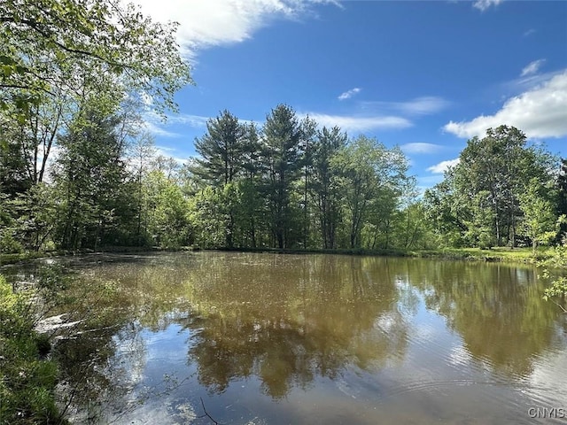 9599 County Road 16, Birdsall, NY 14822