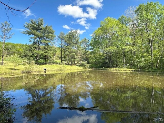 9599 County Road 16, Birdsall, NY 14822