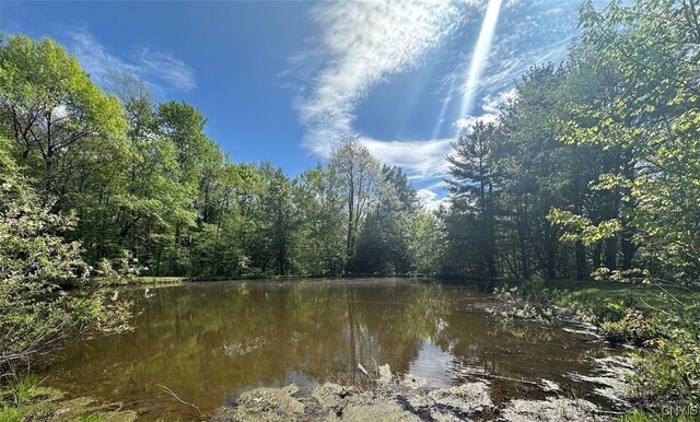 9599 County Road 16, Birdsall, NY 14822