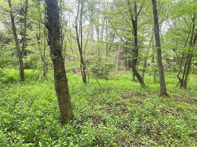 9599 County Road 16, Birdsall, NY 14822