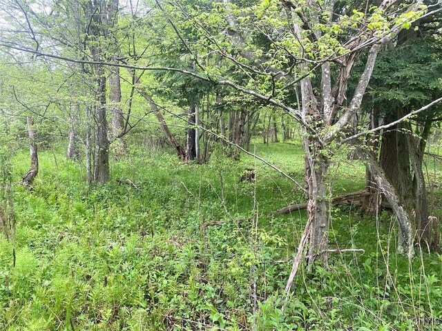 9599 County Road 16, Birdsall, NY 14822