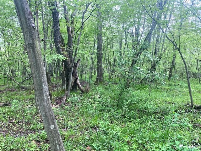 9599 County Road 16, Birdsall, NY 14822