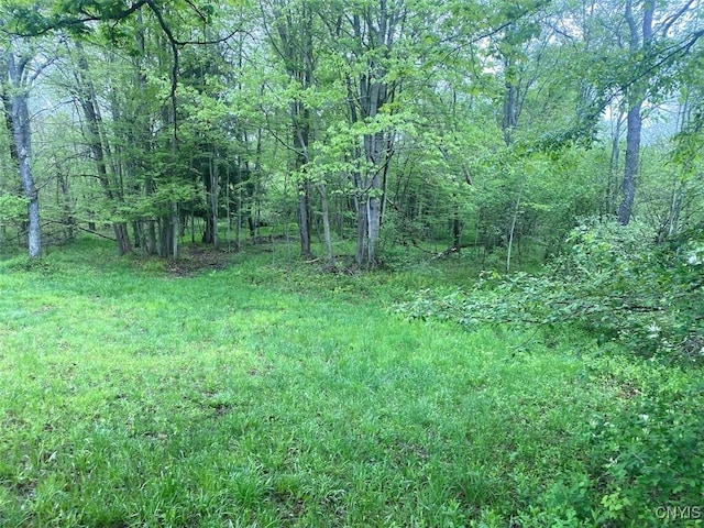 9599 County Road 16, Birdsall, NY 14822