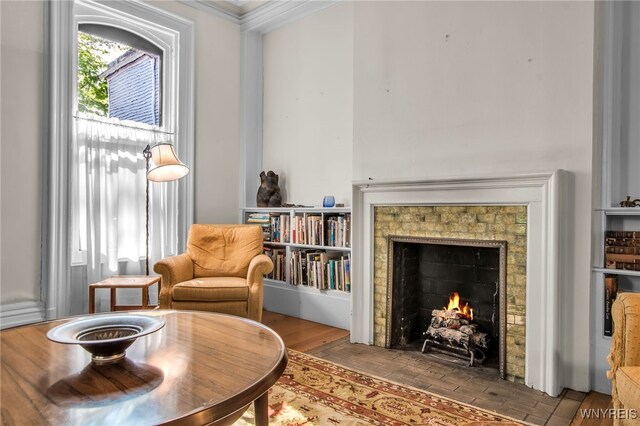 41 Irving Pl, Buffalo, NY 14201 - living area featuring a fireplace with flush hearth