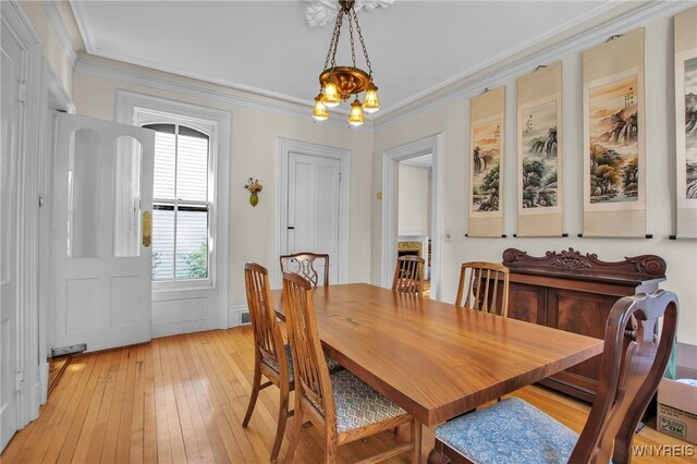 41 Irving Pl, Buffalo, NY 14201 - dining space featuring light wood-style flooring and ornamental molding