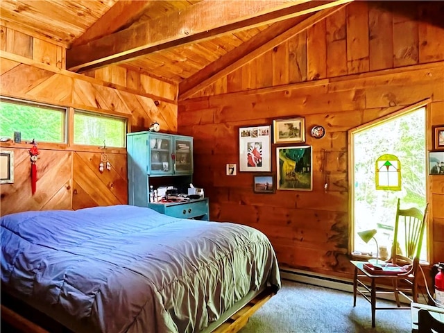 620 Ullas Way, Davenport, NY 13750 - bedroom with multiple windows, wooden walls, wood ceiling, and carpet floors