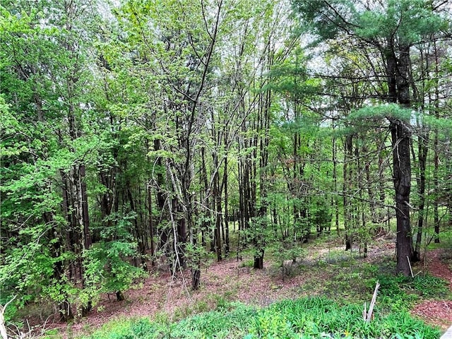 620 Ullas Way, Davenport, NY 13750 - view of wooded area