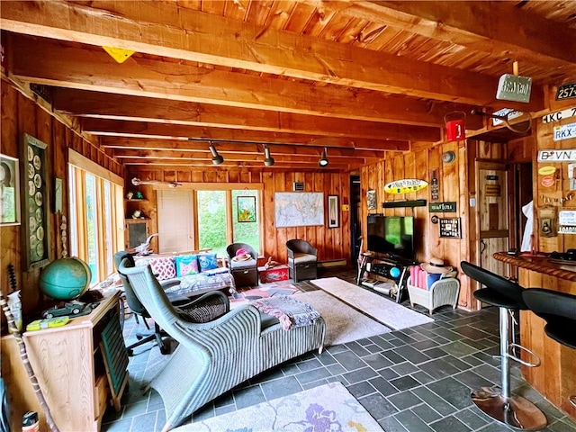 620 Ullas Way, Davenport, NY 13750 - living area featuring wooden walls, rail lighting, and wooden ceiling with exposed beams