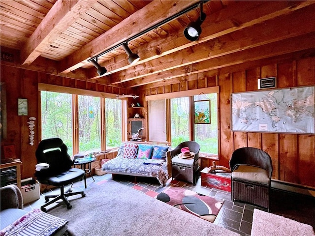 620 Ullas Way, Davenport, NY 13750 - living area with wooden ceiling with exposed beams, track lighting, and wooden walls