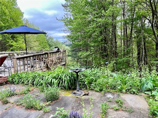 620 Ullas Way, Davenport, NY 13750 - view of yard with a wooden deck
